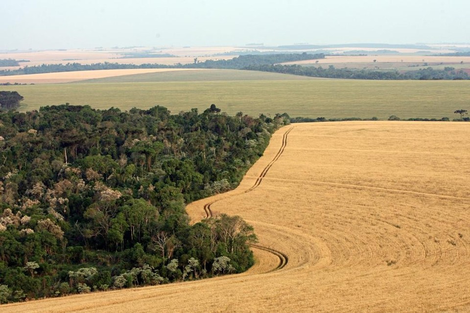 A medida disponibilizou um mapa do País com análise temporal e outros filtros temáticos para aperfeiçoar a análise dos dados do Cadastro Ambiental Rural (CAR). | Albari Rosa/Gazeta do Povo