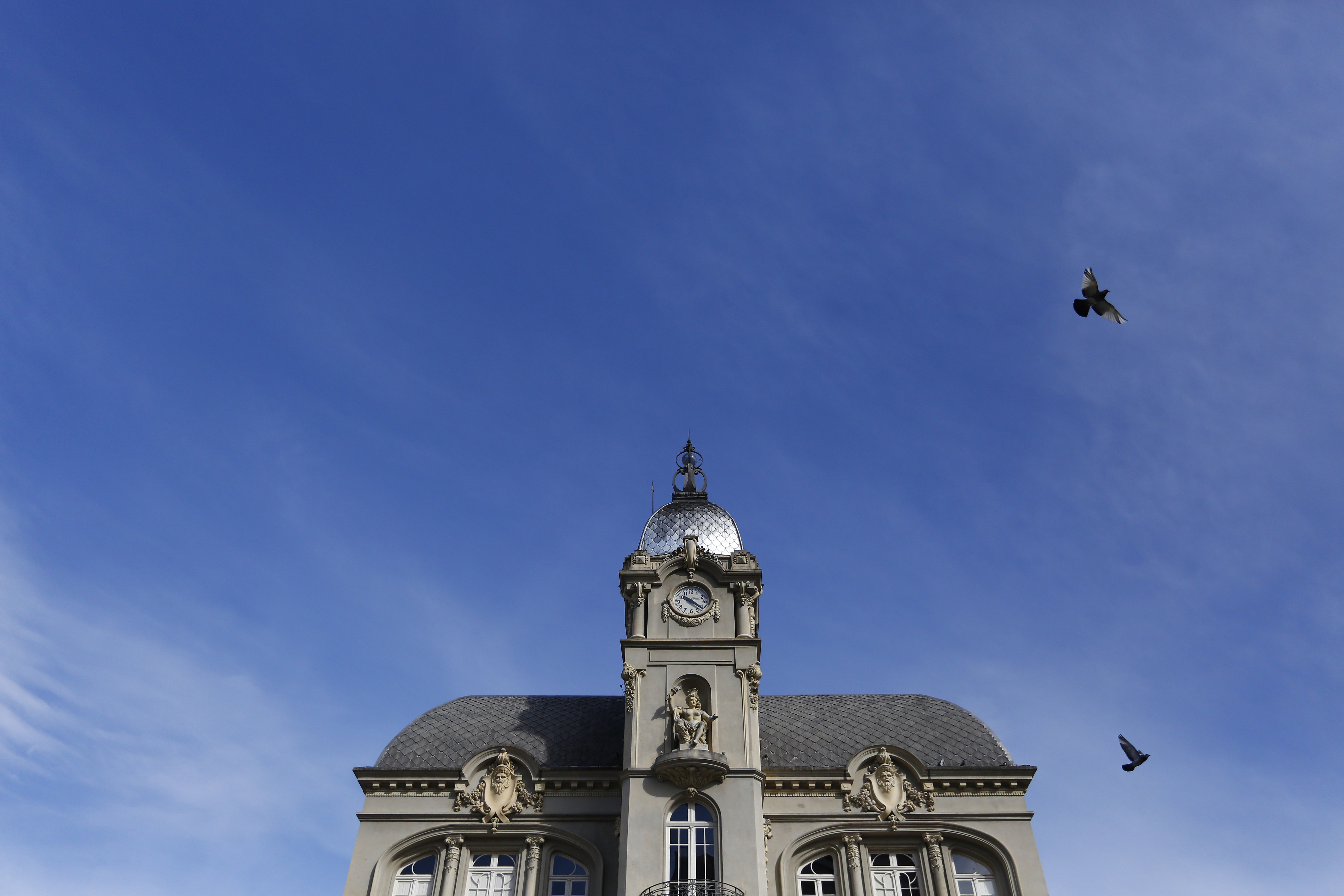  | Henry Milleo/Gazeta do Povo