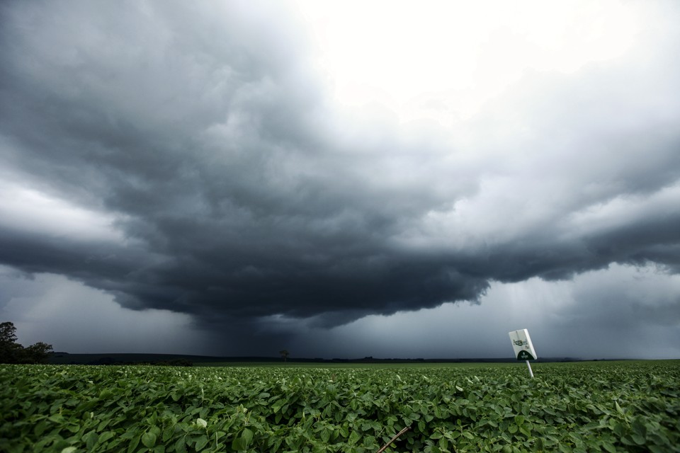 Em outubro, foram 150 mm de chuva, 50 mm a mais do que a média das últimas décadas. | André Rodrigues/Gazeta do Povo