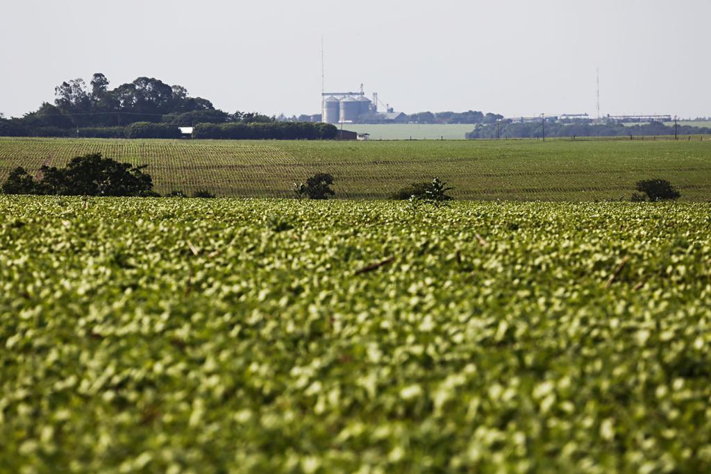 O fantasma das perdas trouxe cautela na maioria das propriedades para o ciclo 2016/17, mas não tirou o otimismo dos produtores do Centro-Oeste. | Felipe Rosa/TRIBUNA DO PARANA