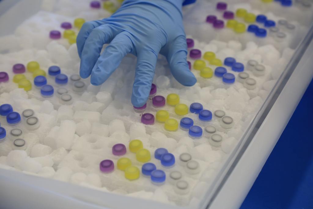 | Ivonaldo Alexandre/Gazeta do Povo