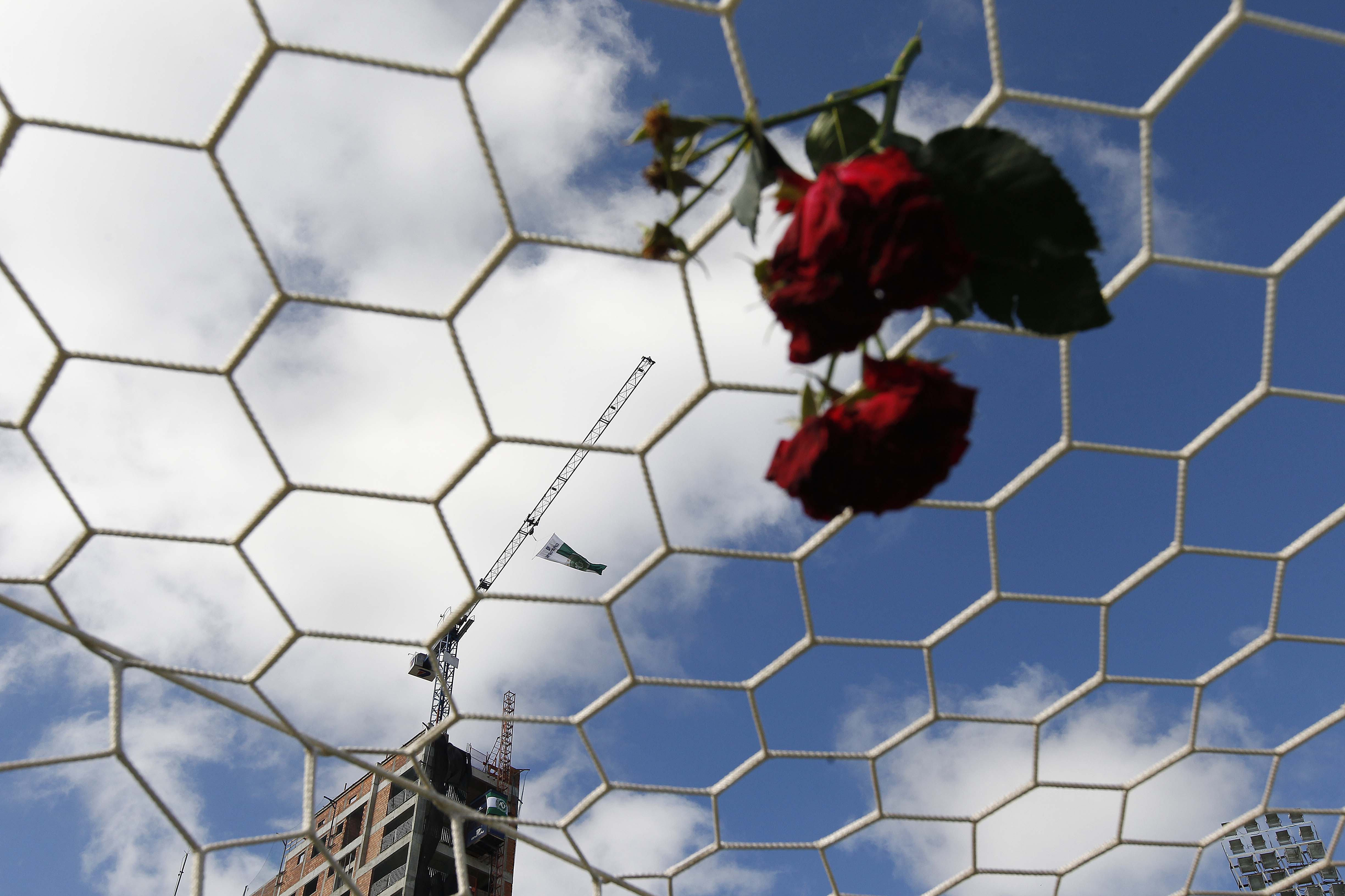 Rosa colocada na rede do gol da Arena Condá. | Jonathan Campos/Gazeta do Povo