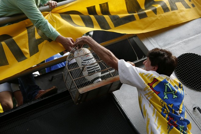  | Marcelo Andrade/Gazeta do Povo