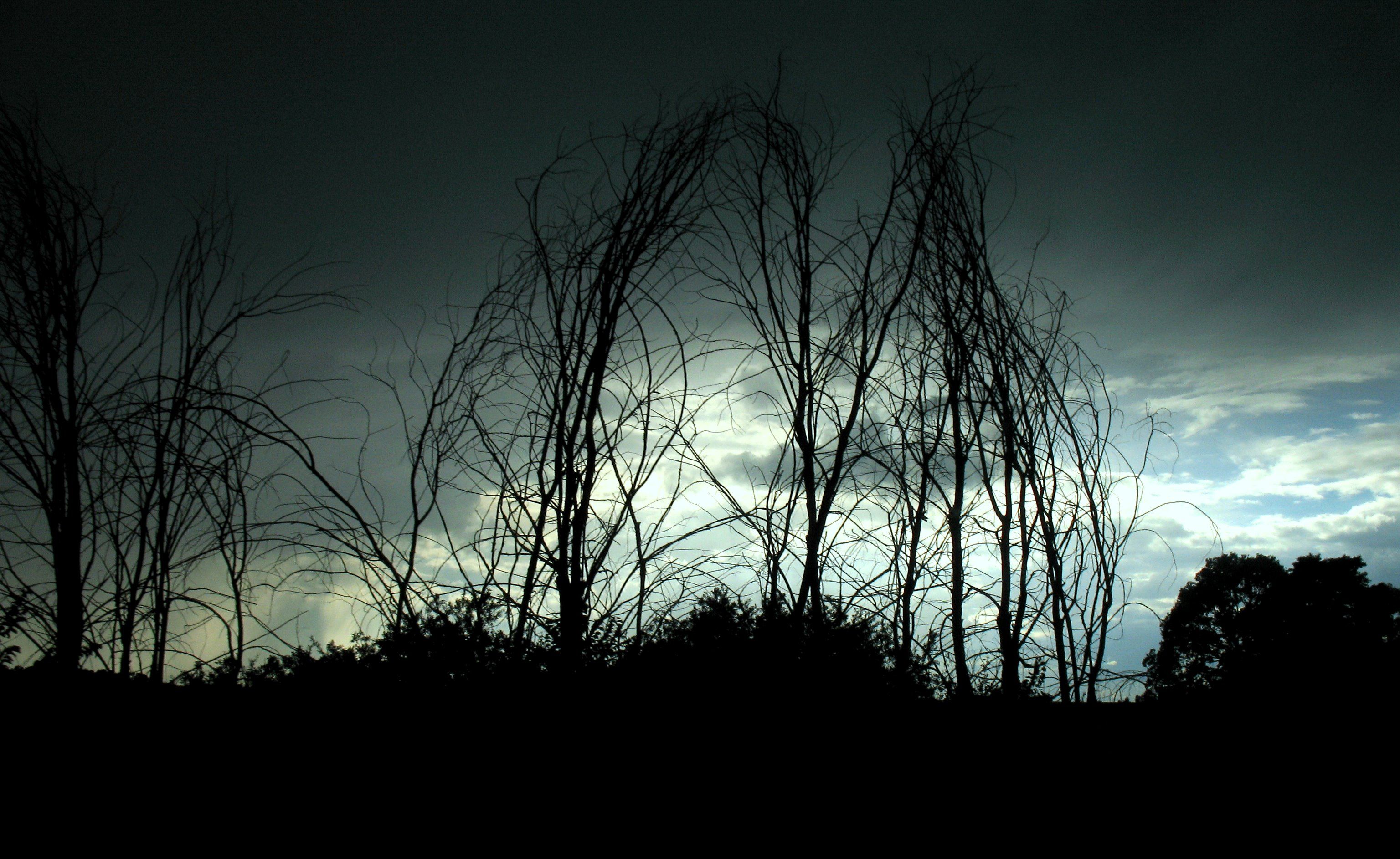  | Karolina Przybysz/Free Images