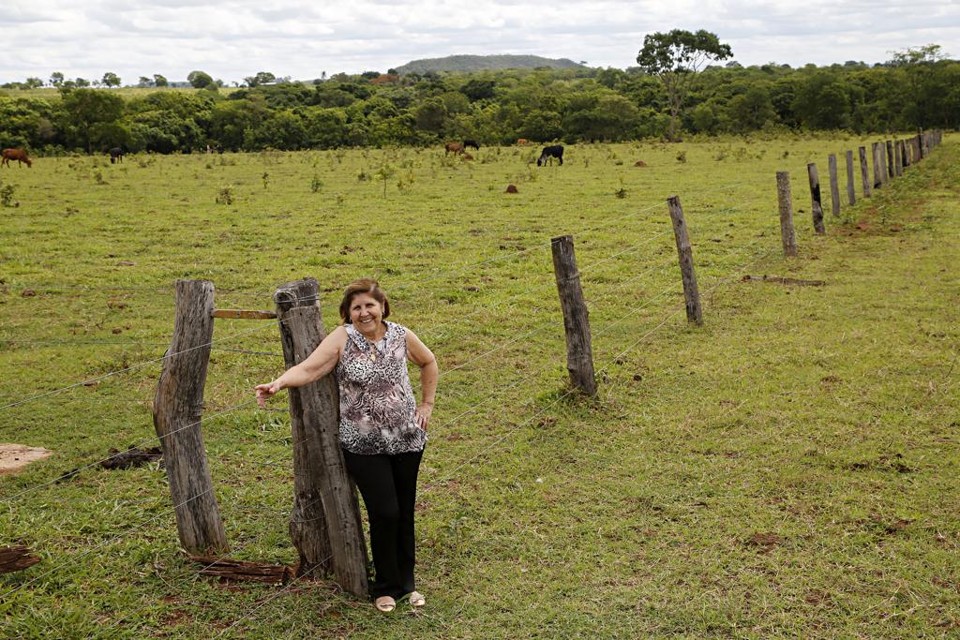Em Mato Grosso do Sul, a educadora Soila Domingues recebeu a propriedade como herança do marido. | Felipe Rosa/TRIBUNA DO PARANA