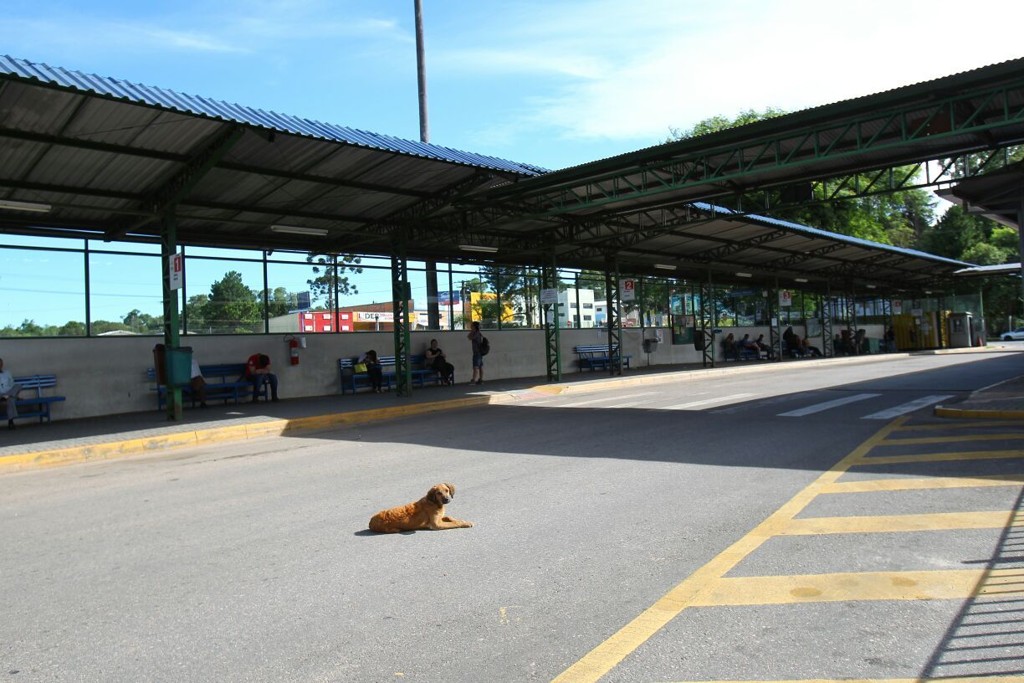 Sem avisos sobre a paralisação, usuários  esperam ônibus em Araucária. Nenhum veículo está passando pelo principal terminal da cidade.