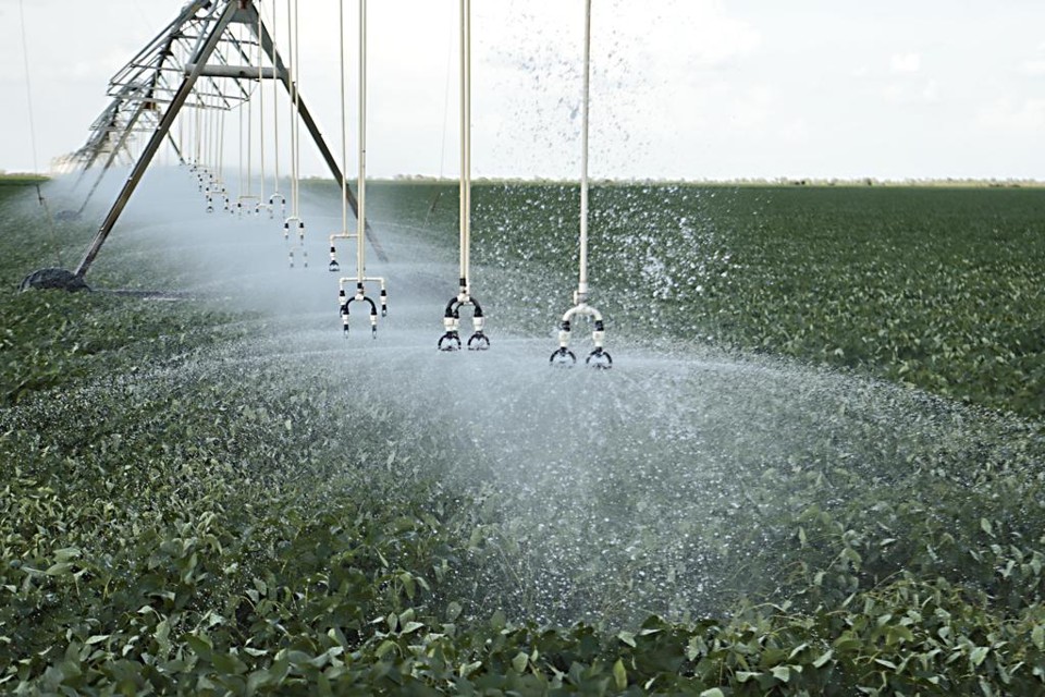 Intenção é ajudar a aumentar a produtividade em regiões nas quais o clima é mais seco. | Albari Rosa/Gazeta do Povo
