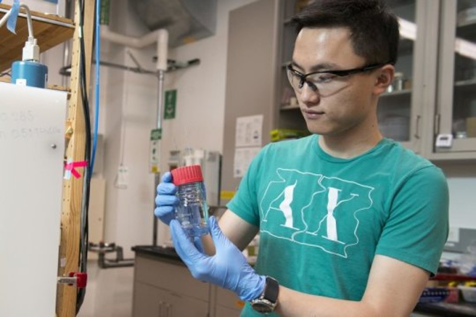Autor principal do estudo, Haotian Wang  prevê diversas aplicações práticas da descoberta. | Cicero/Stanford News Service