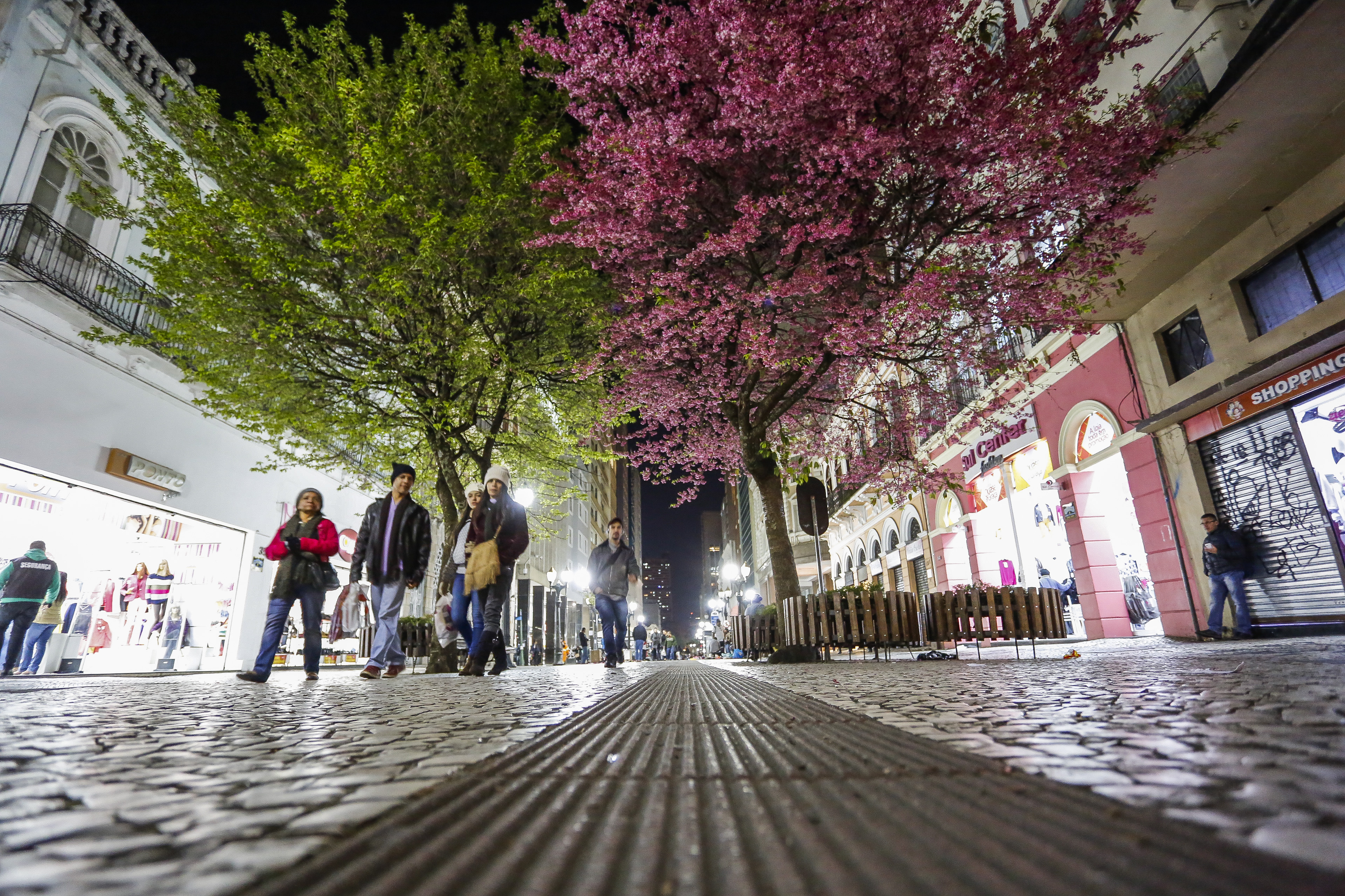| Daniel Castellano/Gazeta do Povo