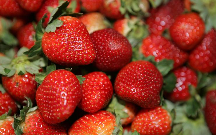 Imagem ilustrativa | Aniele Nascimento/Gazeta do Povo/