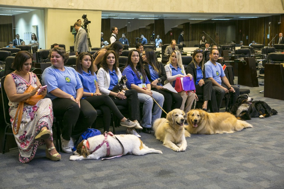Voluntários e cães do Amigo Bicho participam de sessão da Assembleia para relatar experiência em hospitais | Marcelo Andrade / Gazeta do Povo