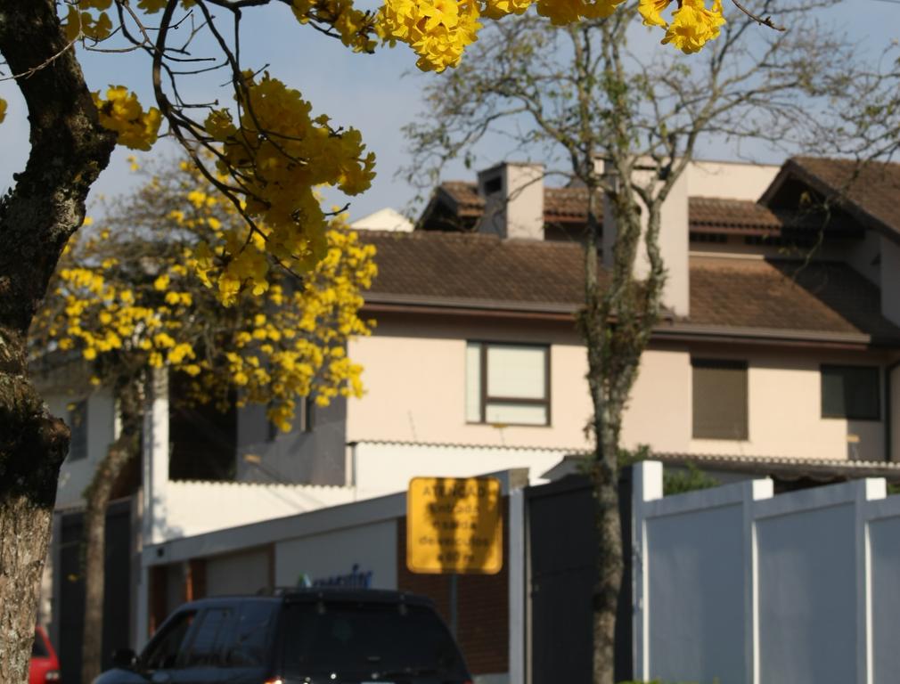  | Aniele Nascimento/Gazeta do Povo