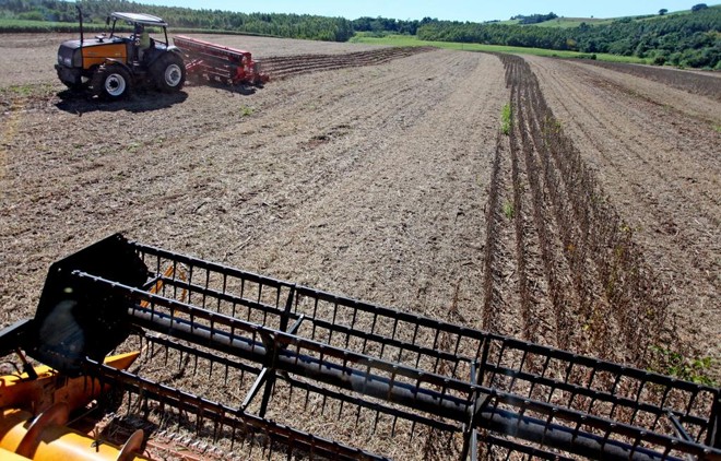 Insegurança trazida por conflitos civis impede que a agricultura ocorra normalmente e ameaça a segurança alimentar. | DIRCEU PORTUGAL/GAZETA DO POVO