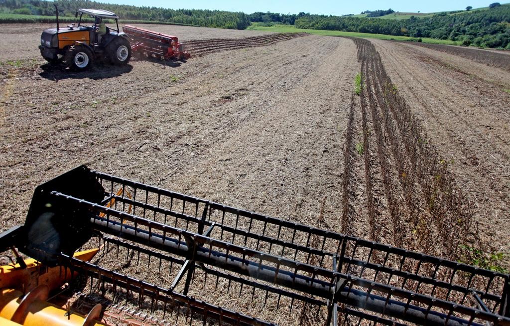 Insegurança trazida por conflitos civis impede que a agricultura ocorra normalmente e ameaça a segurança alimentar.
