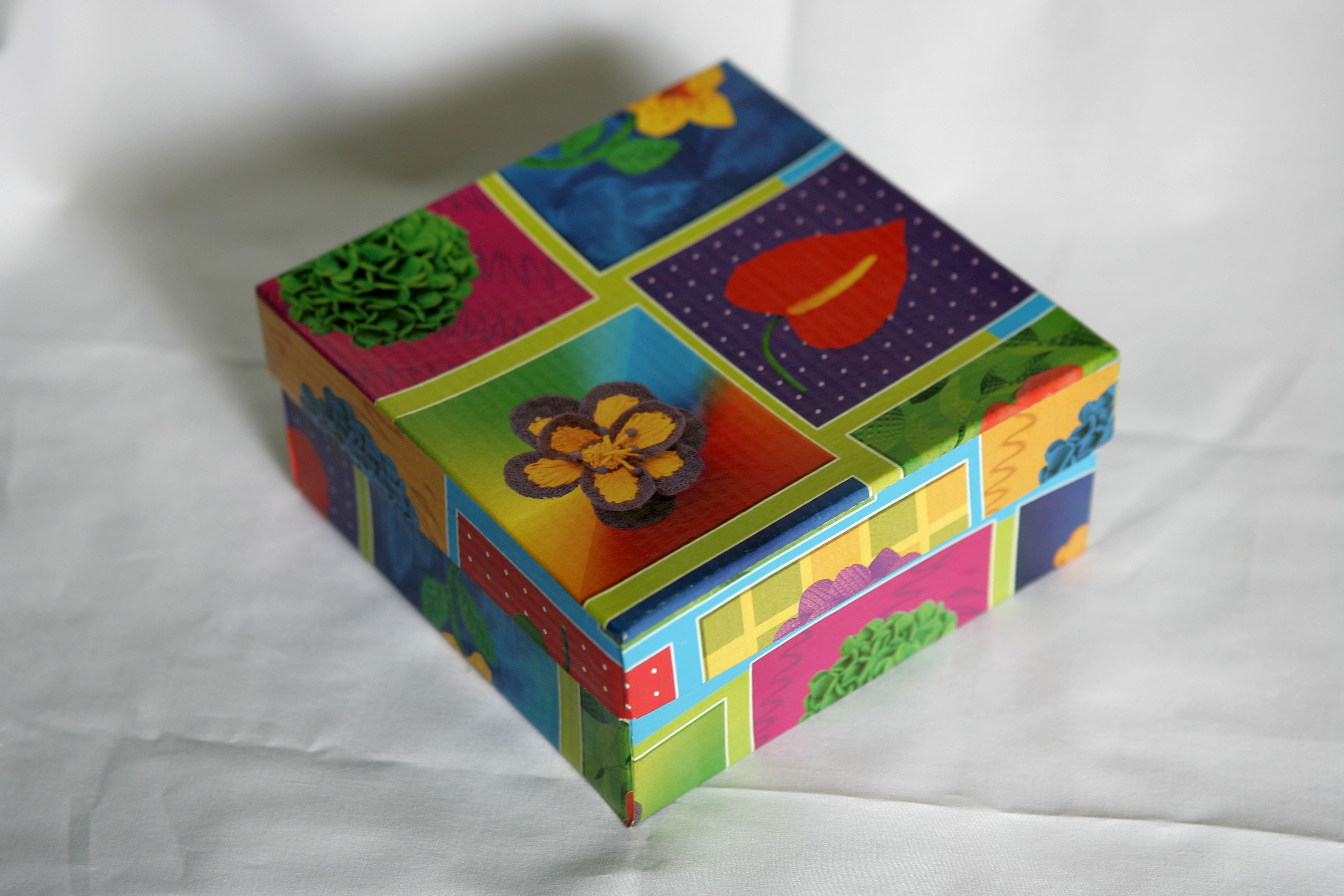  | Jonathan Campos/Gazeta do Povo