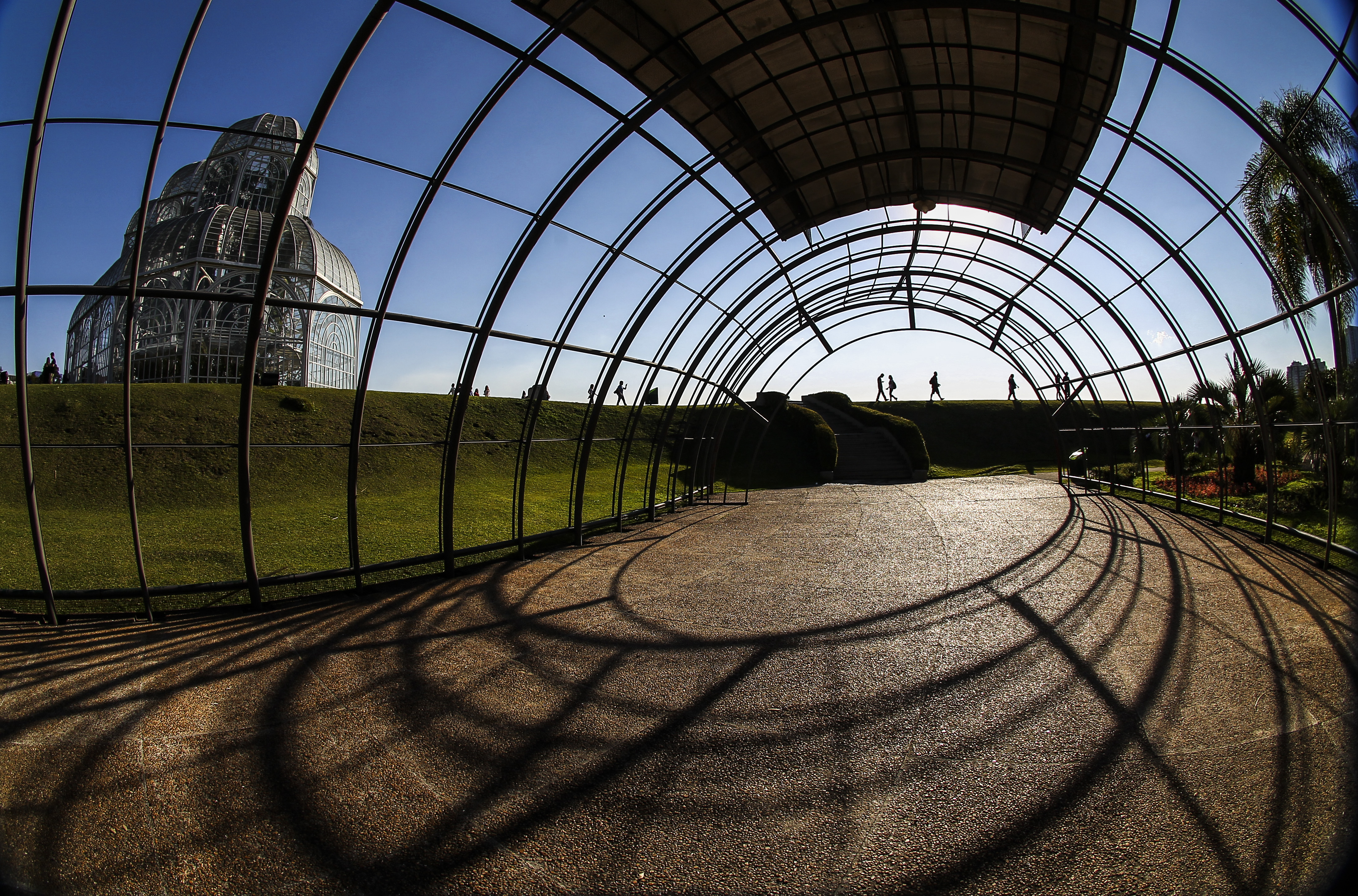 | Daniel Castellano/Gazeta do Povo