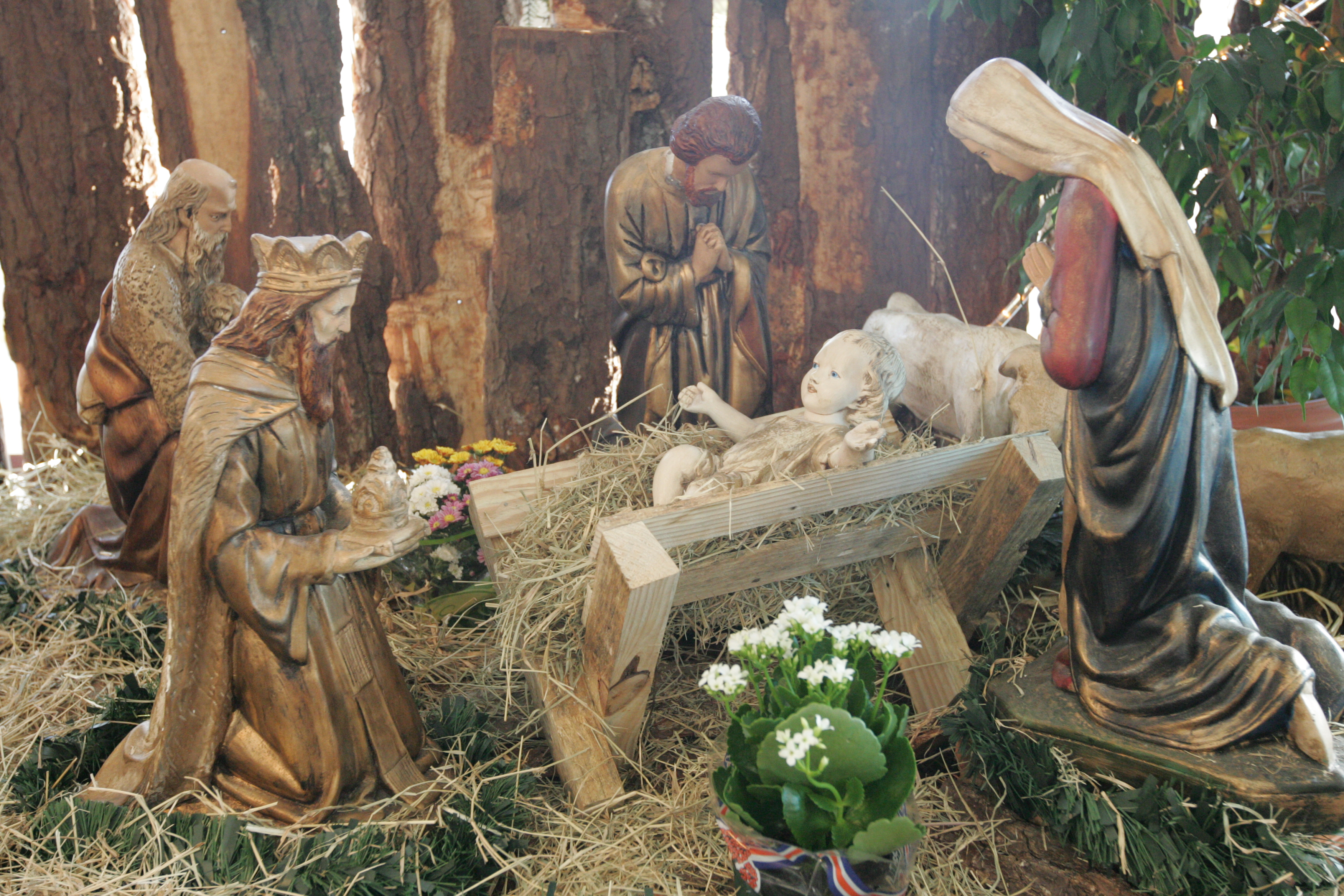 | Gilberto Abelha /Arquivo Jornal de Londrina