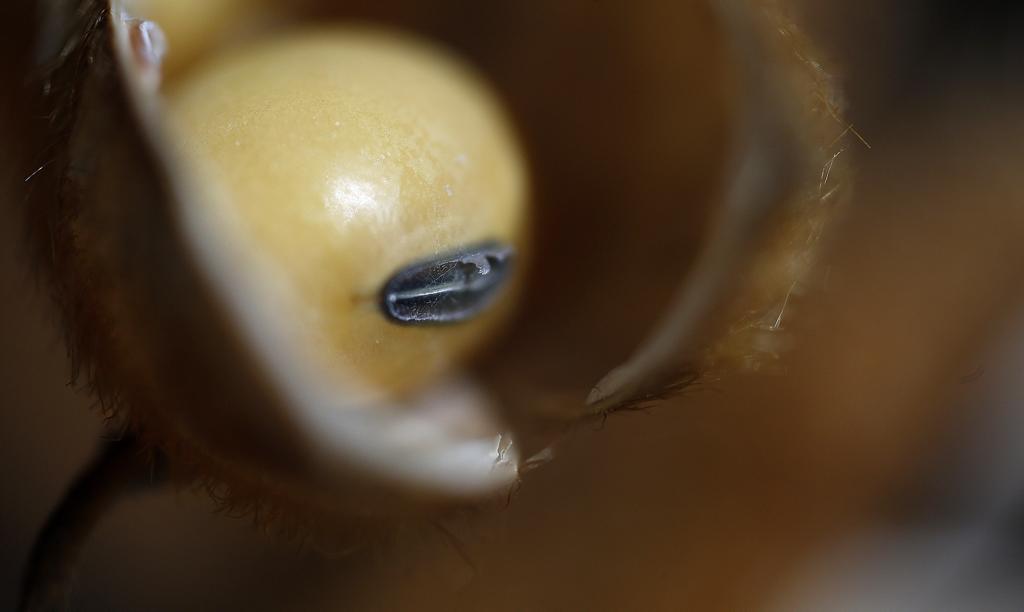 O resultado líquido, estimado em R$ 2,3 bilhões, é R$ 300 milhões menor em relação ao exercício anterior. | Jonathan Campos/Gazeta do Povo