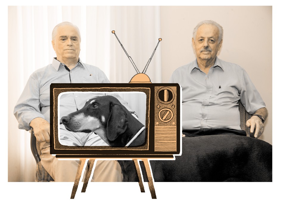  | Foto: Hugo Harada/Gazeta do Povo / Arte: Felipe Lima