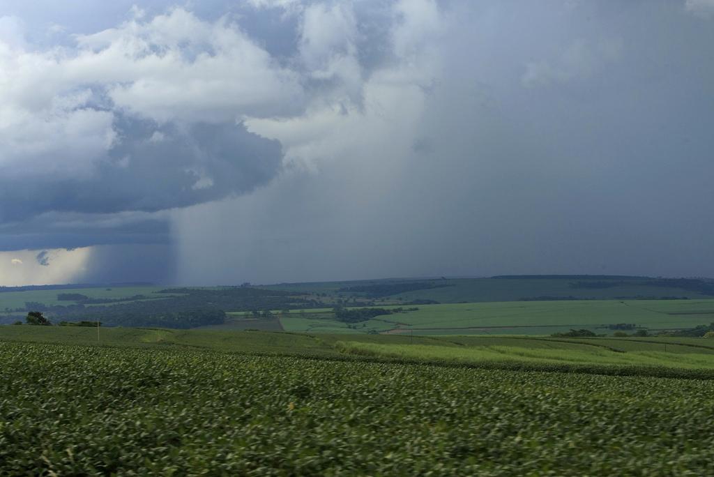 Analista adverte, porém, que essa é a hora de se reinventar e mostra os caminhos que podem ser seguidos para se defender dos anos desafiadores que estão por vir. | Arquivo/Gazeta do Povo