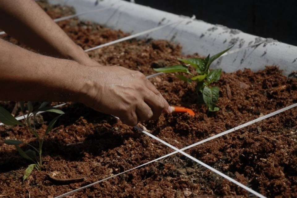 Uma das exigências é que o importador deverá estar vinculado a uma instituição ou empresa com atuação comprovada nessas atividades. | Tânia Rêgo/Agência Brasil