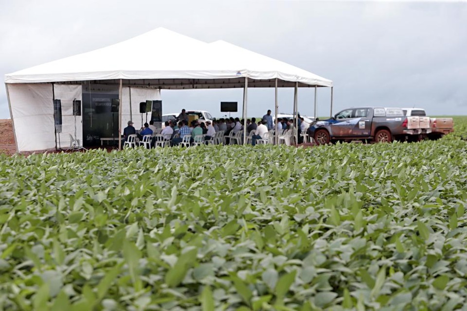 Lançamento foi no meio de uma plantação de soja, em Rondonópolis, um dos principais polos produtivos do Mato Grosso. | Albari Rosa/Gazeta do Povo