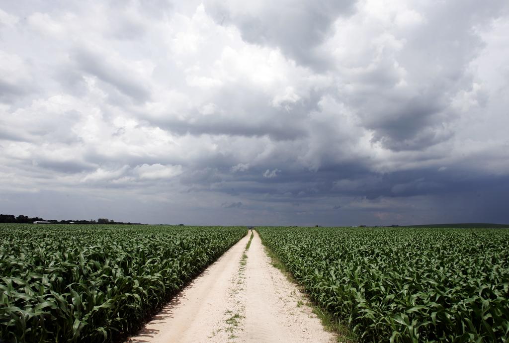 Valor se refere à subvenção paga pelo governo para o produtor enfrentar riscos climáticos nas culturas de grãos e frutas. | Josue Teixeira/Josue Teixeira