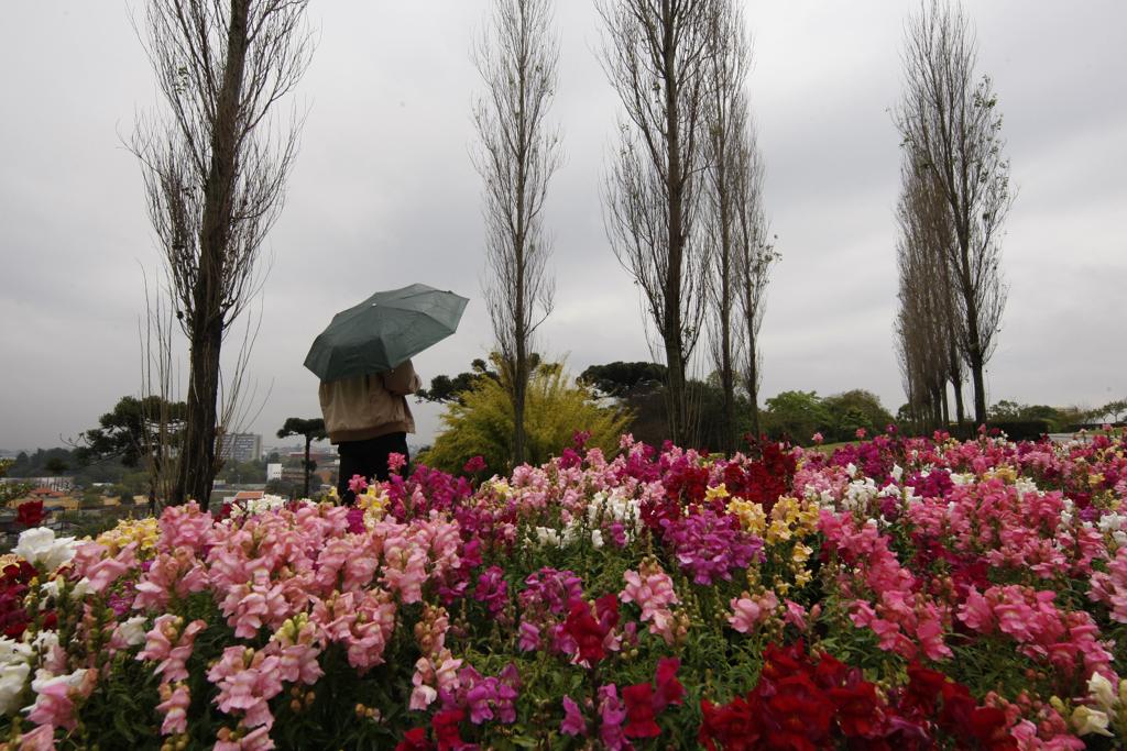 | Aniele Nascimento/Gazeta do Povo