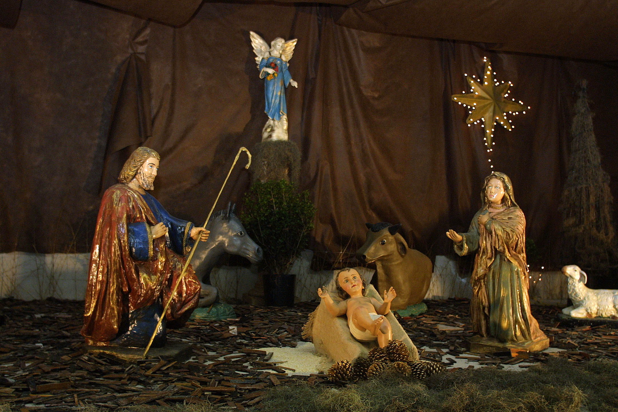 | Priscila Forone/Arquivo Gazeta do Povo