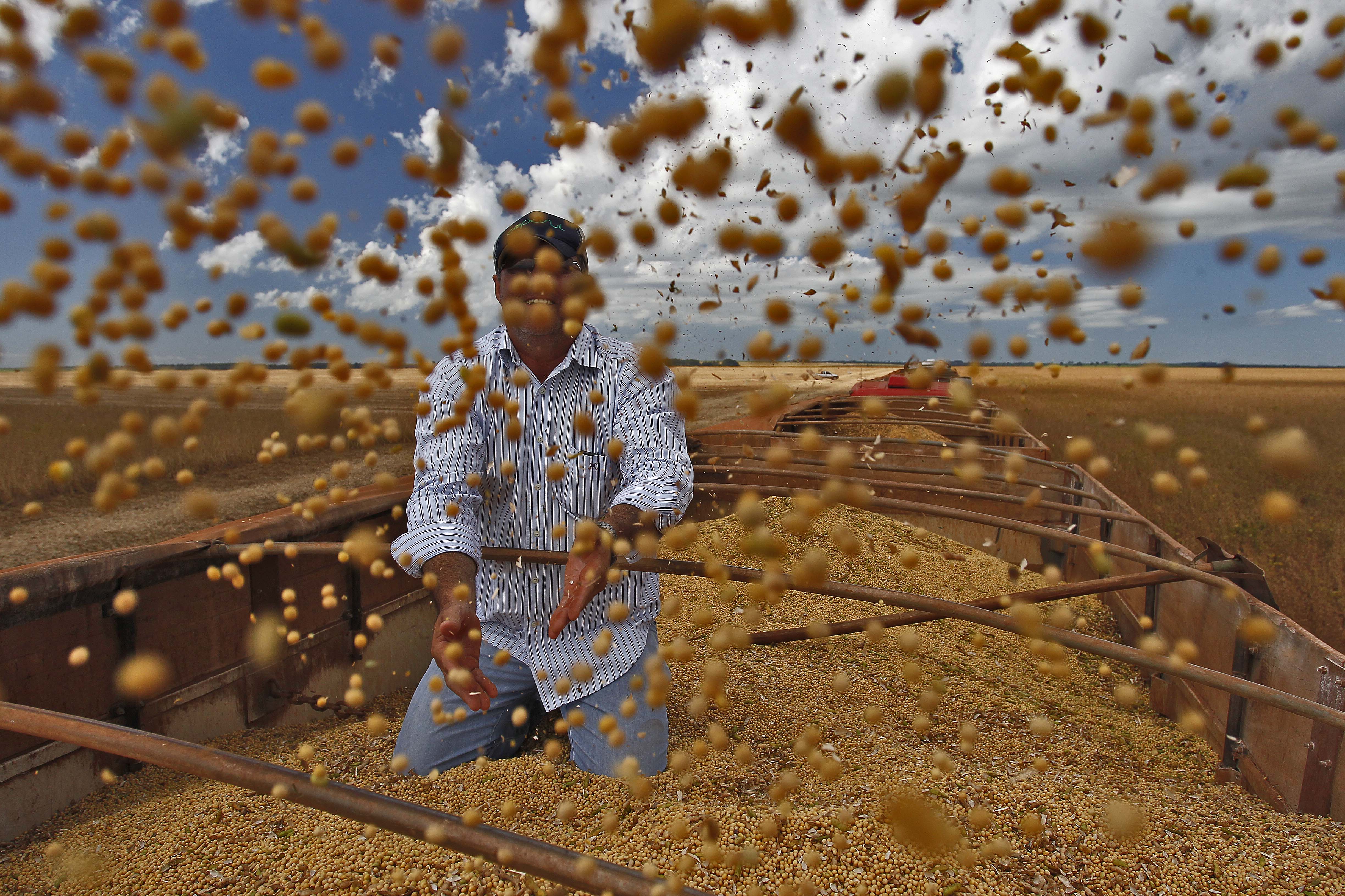 Colheita da soja: as exportações da oleaginosa caíram, mas ela continua como a líder no ranking dos produtos mais exportados em 2016. | Jonathan Campos/Gazeta do Povo