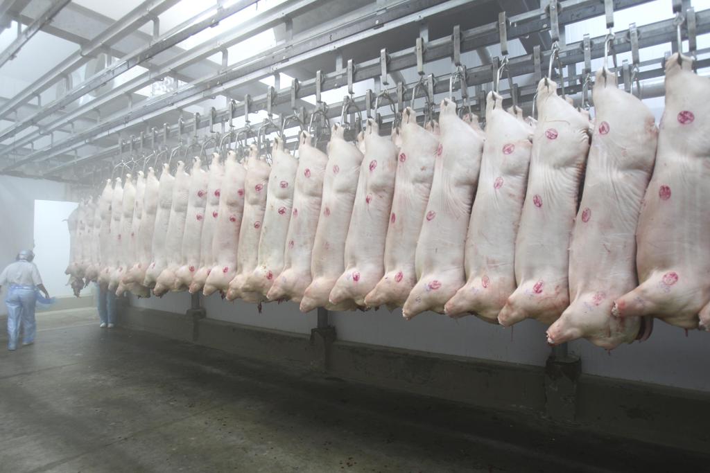 Segundo as contas do Mapa, em 2014 os embarques de carne suína para a África do Sul somaram US$ 25 mil. | Daniel Castellano/Gazeta do Povo