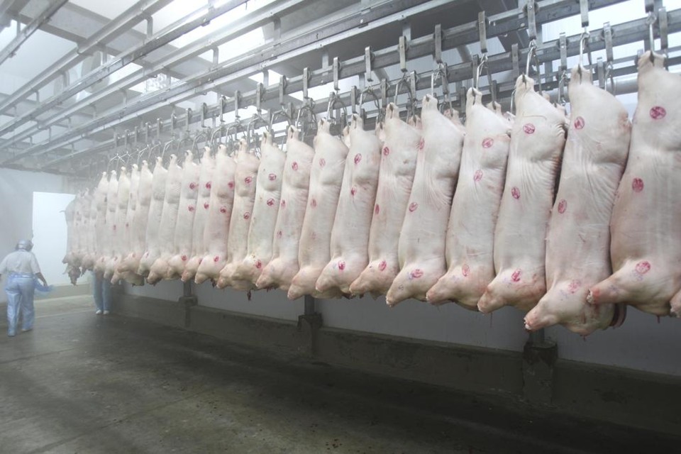 Segundo as contas do Mapa, em 2014 os embarques de carne suína para a África do Sul somaram US$ 25 mil. | Daniel Castellano/Gazeta do Povo