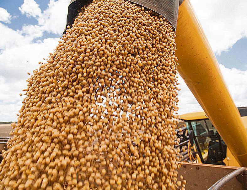 As colheitadeiras correm contra o tempo no Mato Grosso. | Rodrigo Felix Leal/Gazeta do Povo
