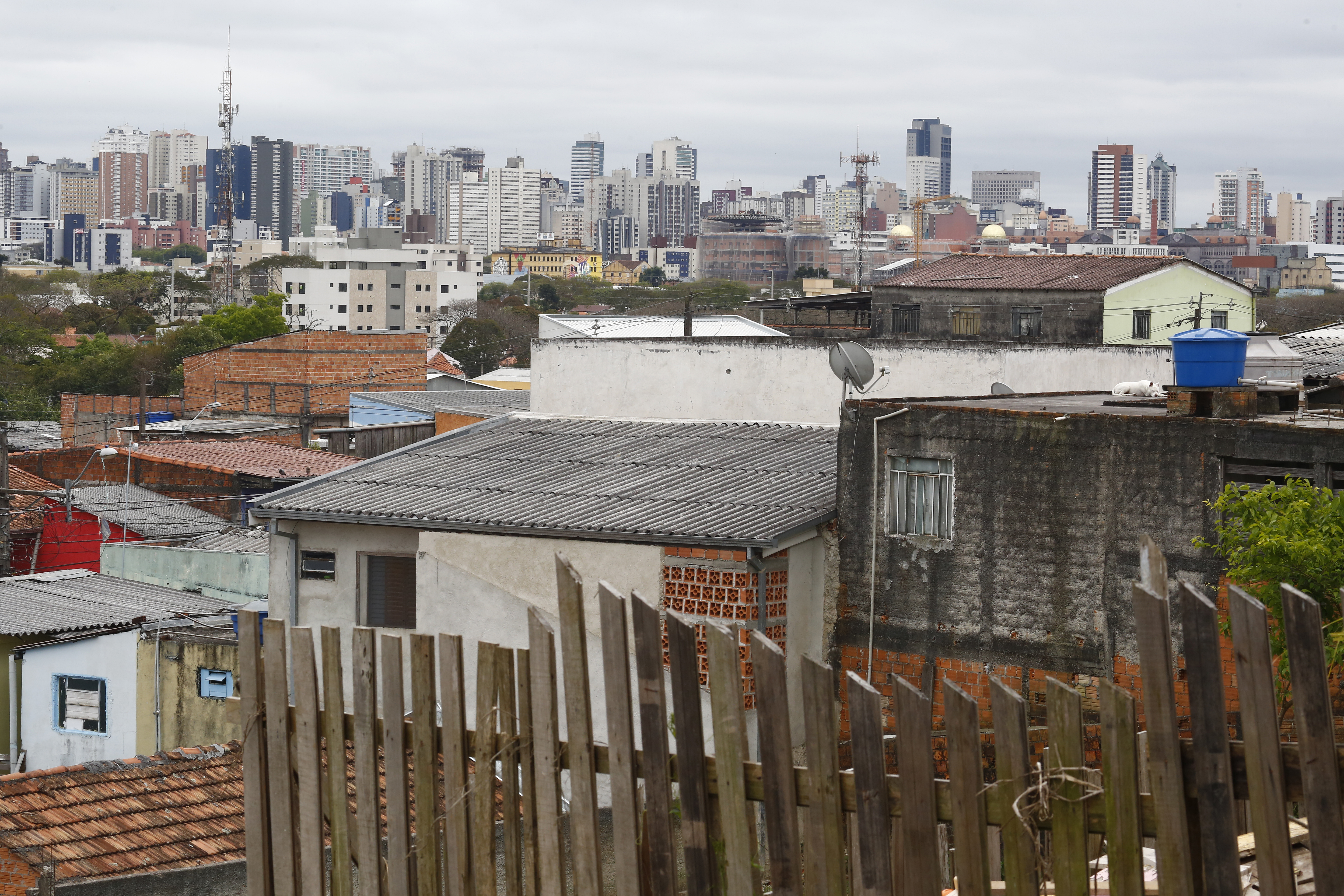  | Henry Milleo/Gazeta do Povo