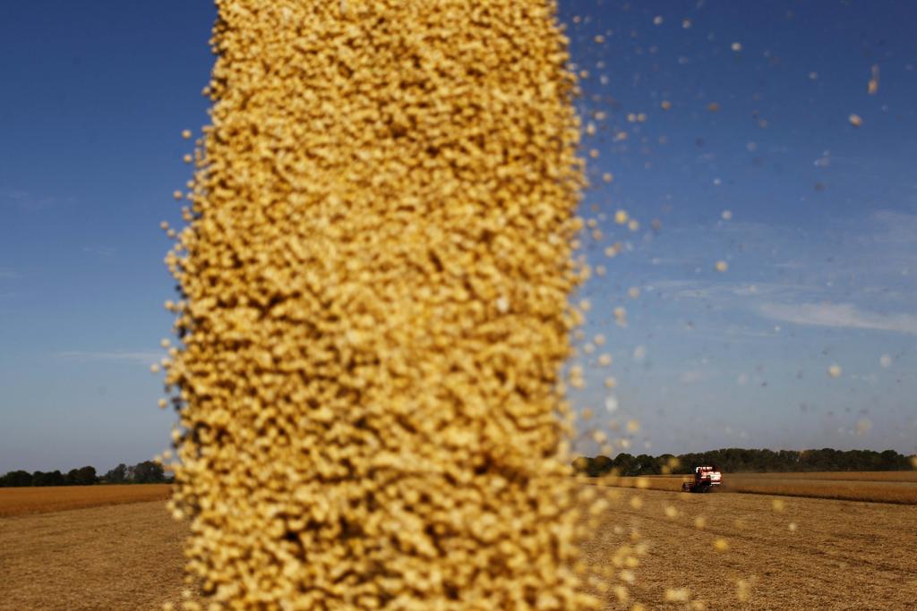 As estimativas vão de 1 milhão de toneladas até 6 milhões de toneladas. | Jonathan Campos/Gazeta do Povo