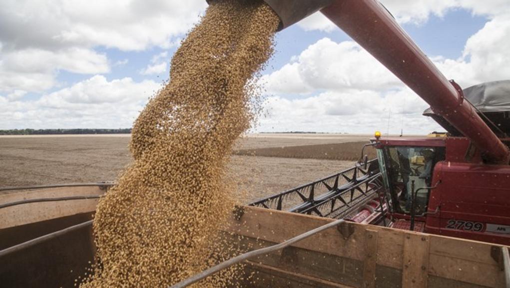 A C.Vale diz que a colheita recorde de soja na safra 2015/16 contribuiu para o bom resultado da organização no ano passado | Rodrigo Félix Leal/Gazeta do Povo