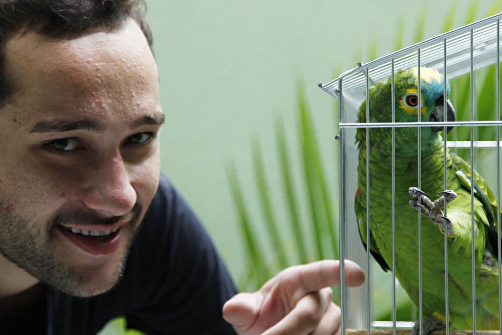 Portaria do IAP permitiu que o empresário Vinicio Marcelo Bocca realizasse o sonho de ter um papagaio em casa. | Jonathan Campos/Gazeta do Povo