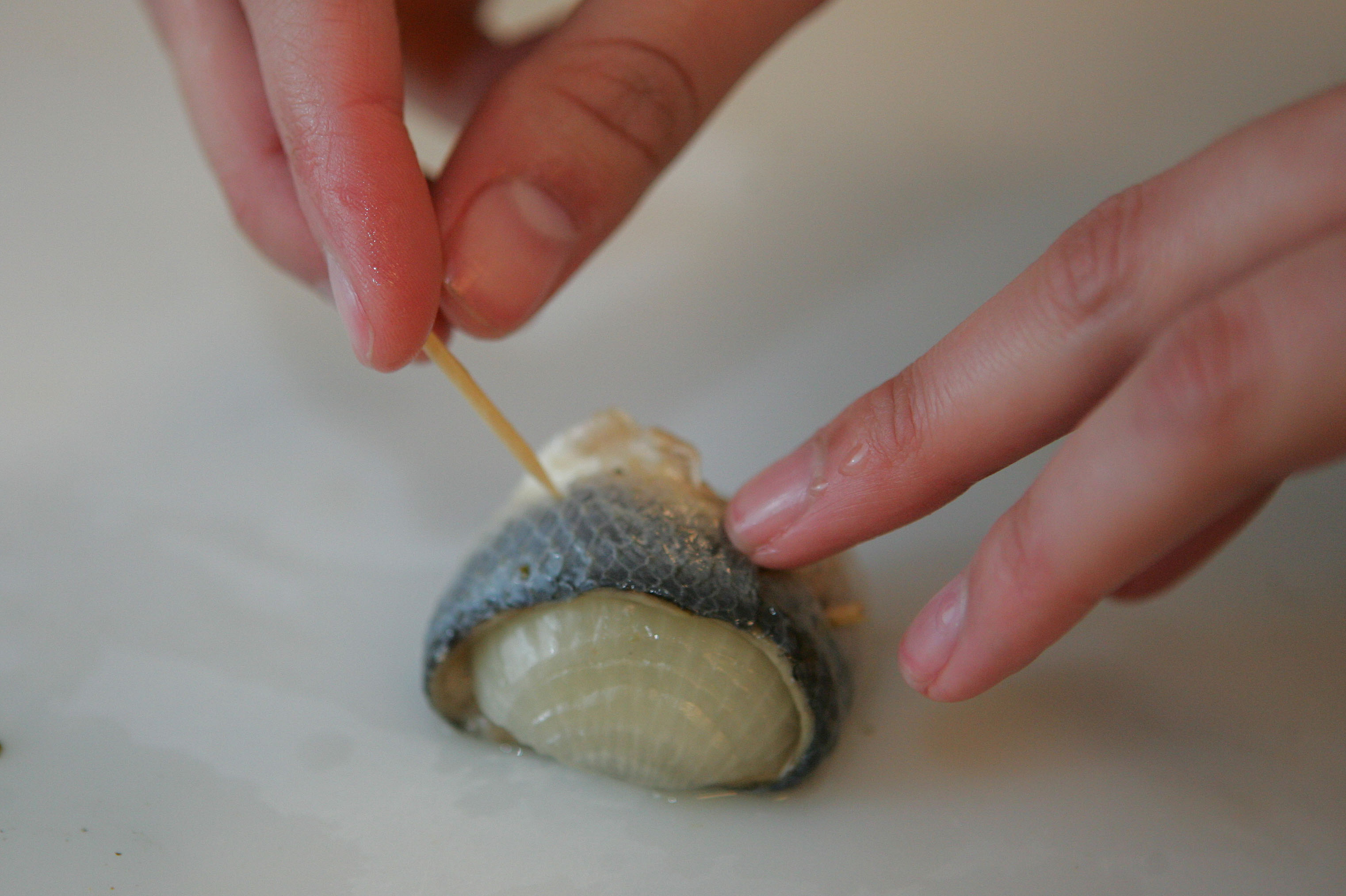  | Pedro Serápio/Gazeta do Povo