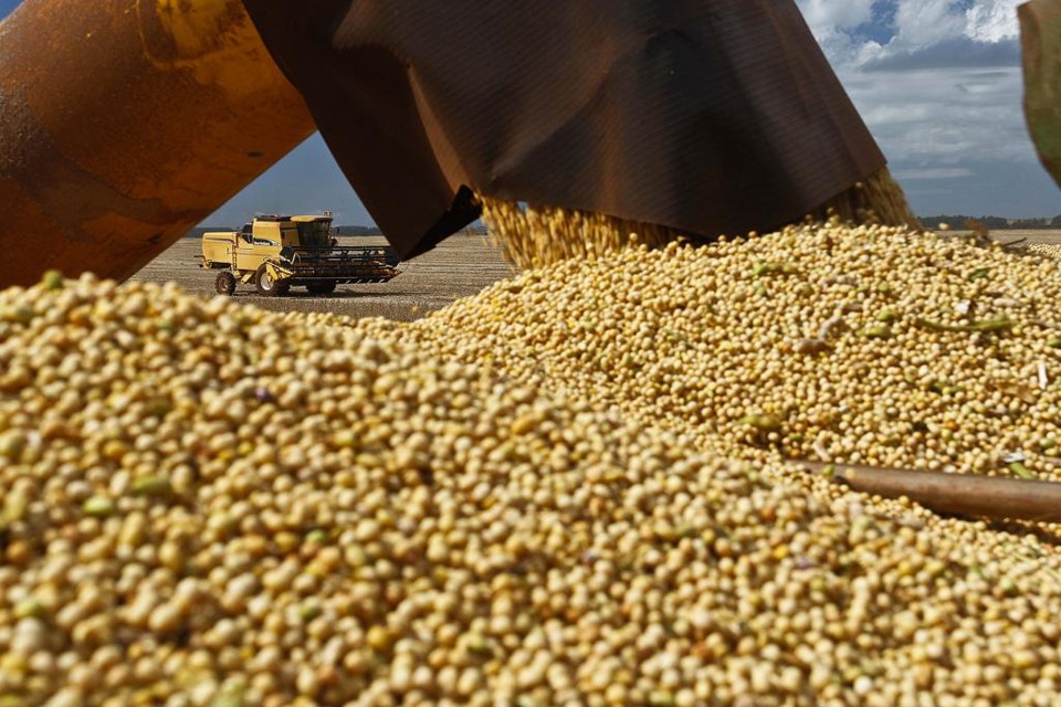 Para a soja, a produção foi de 117,2 milhões de toneladas (10% a mais do que na safra passada). | Jonathan Campos/Gazeta do Povo