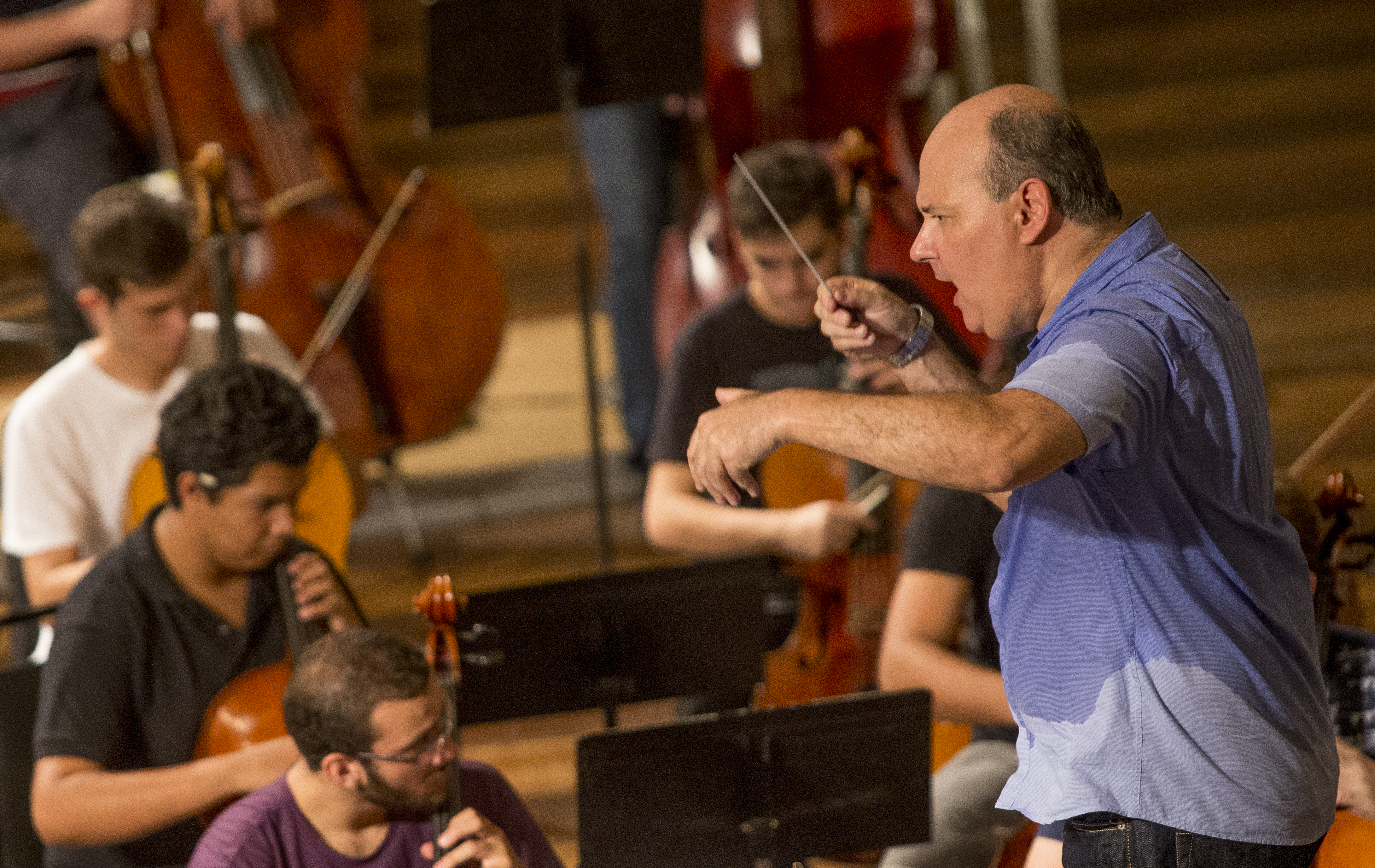 | Hugo Harada/Gazeta do Povo