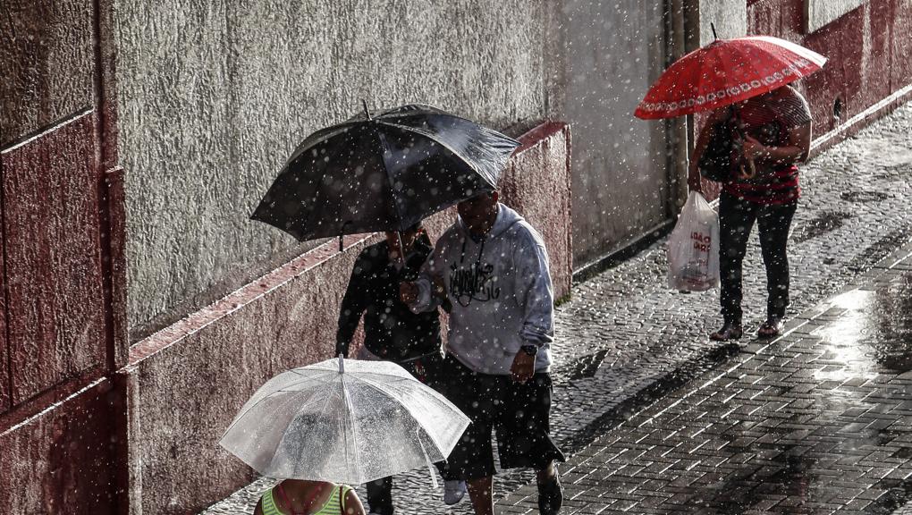 | Daniel Castellano / Gazeta do Povo