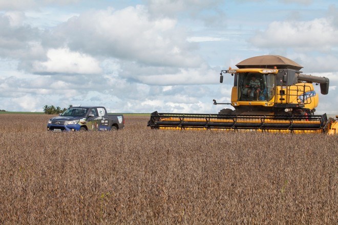 Clima só começou a melhorar no fim de domingo (22), quando os produtores aproveitaram as últimas horas do dia para colher o que fosse possível. | Rodrigo Félix Leal/Gazeta do Povo