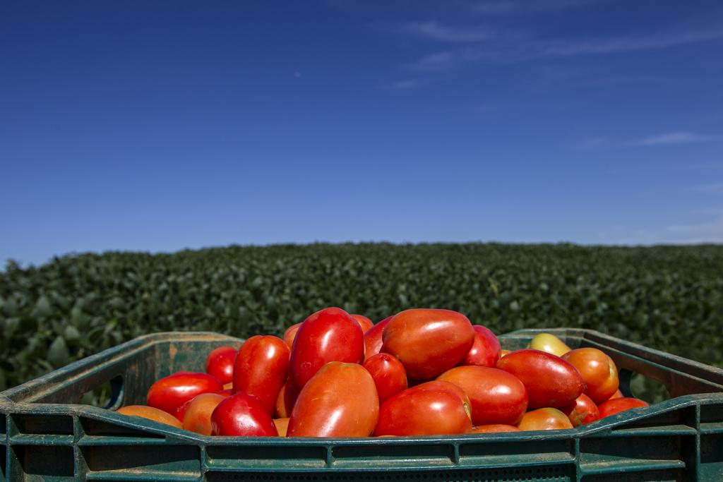  | Jonathan Campos/Gazeta do Povo