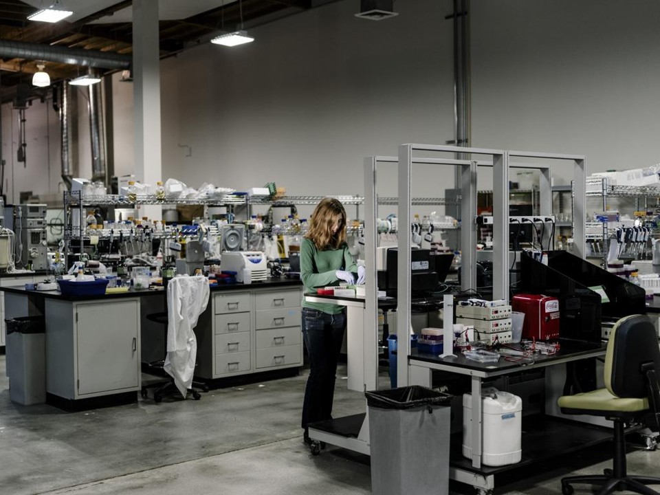 Laboratório da Lygos, empresa de Berkeley que fabrica leveduras produtoras de ácido malônico, ingrediente de perfumes geralmente derivado do cianeto | Jason Henry/NYT