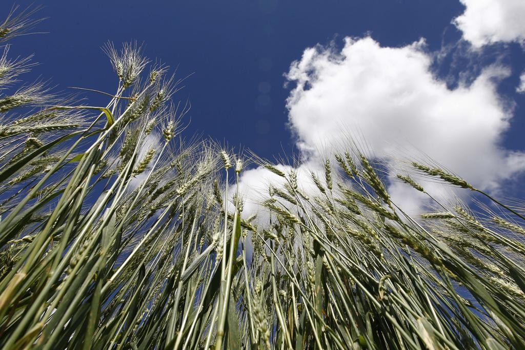 Metade das aulas acontecem em campo, o que possibilita que o aluno aprenda os conceitos e já possa aplicá-los.
