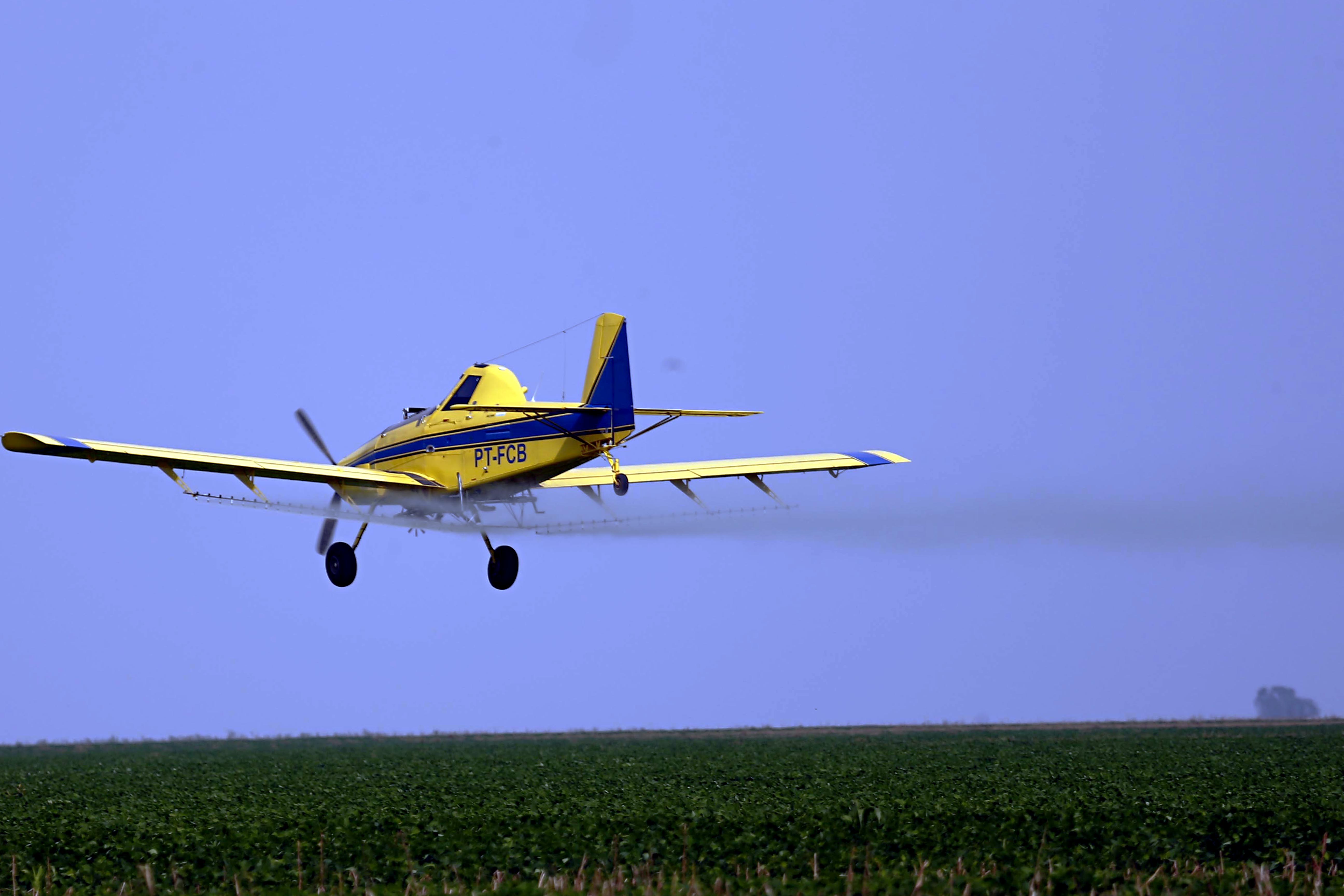| Albari Rosa/Gazeta do Povo