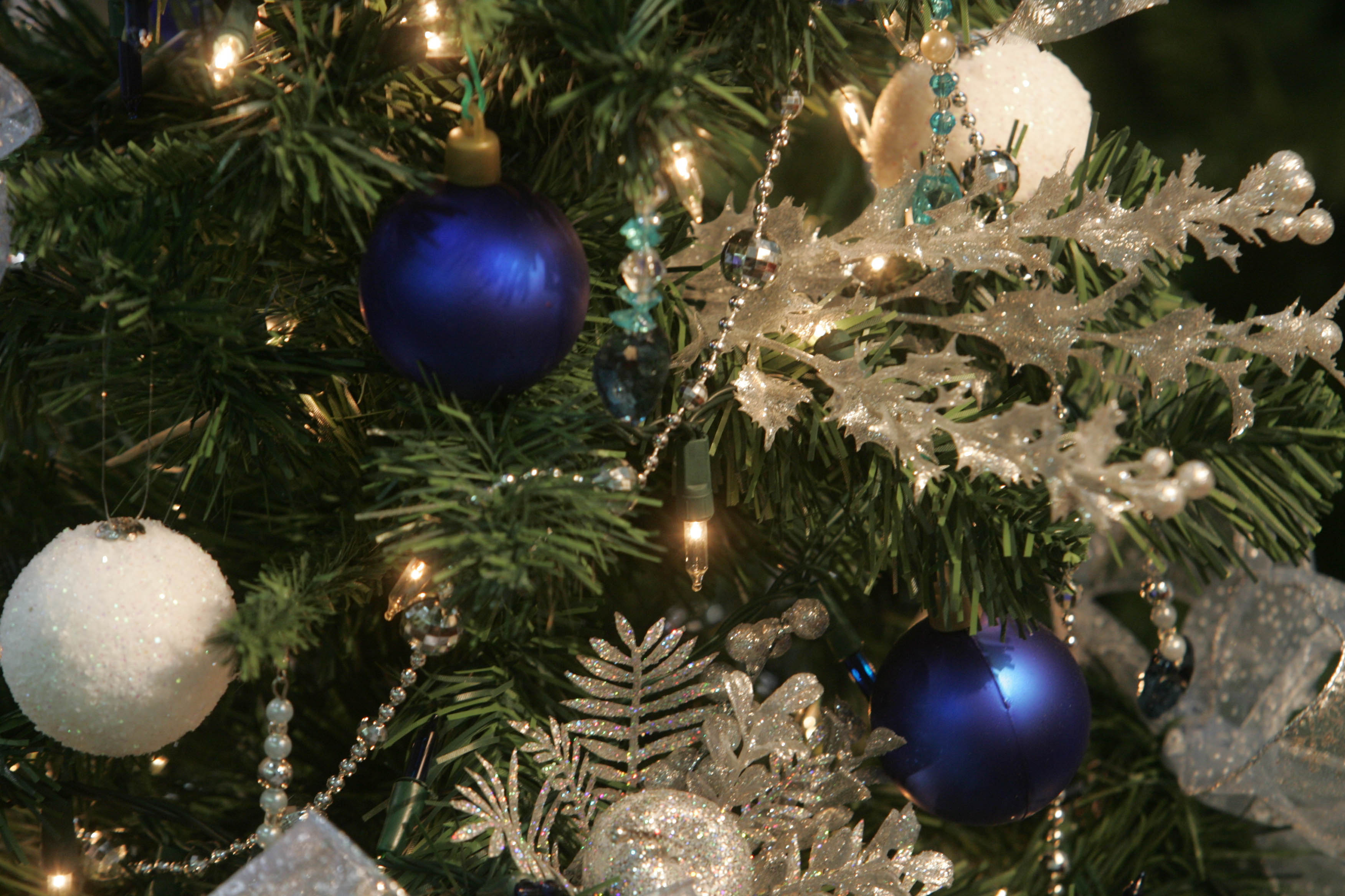  | Marcelo Elias/Gazeta do Povo