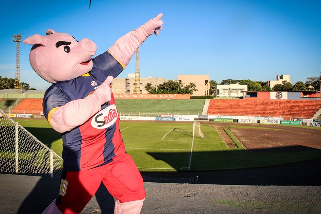 Novo mascote do clube, Teco causa curiosidade nos torcedores do Toledo. | Divulgação: Toledo