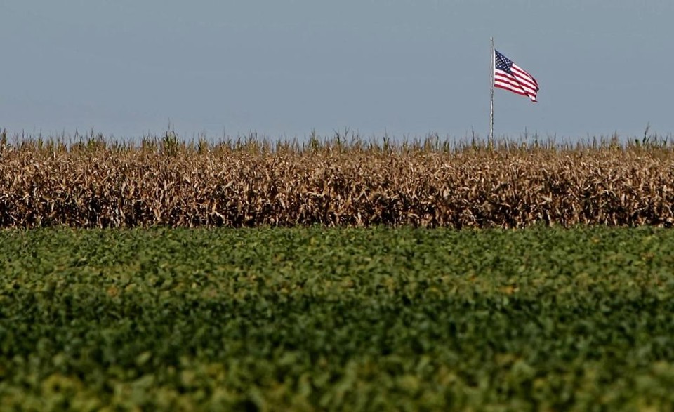 Saída dos Estados Unidos do maior acordo comercial do mundo, a Parceria Transpacífico (TPP), abre oportunidades para o agronegócio brasileiro. | Albari Rosa/Gazeta do Povo