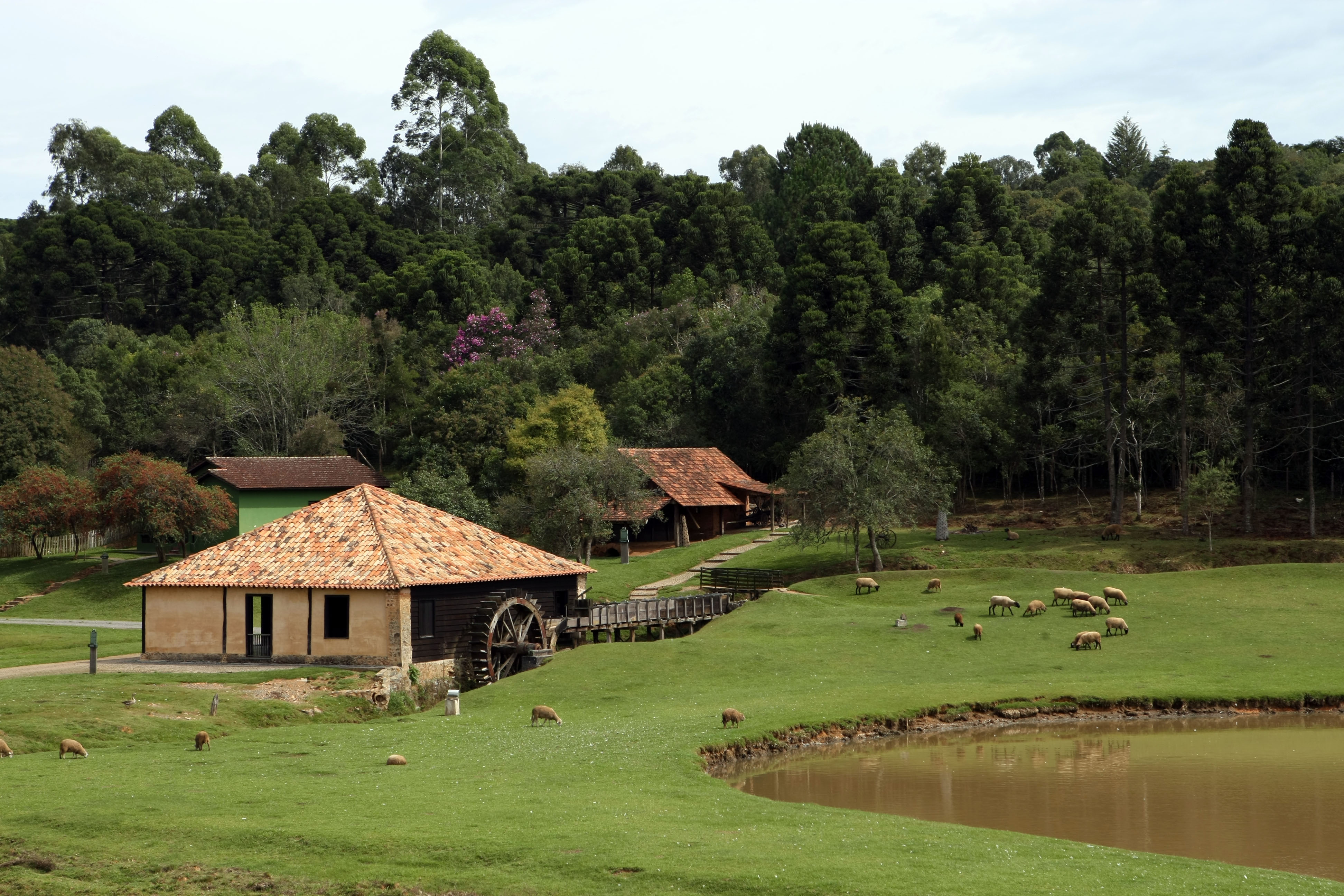  | Priscila Forone/Gazeta do Povo